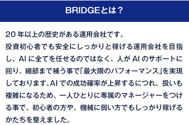 BRIDGE(ブリッジ)とは?