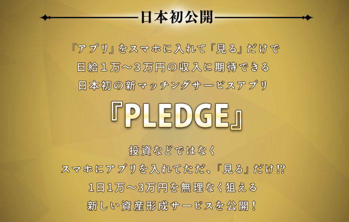 PLEDGED(プレッジ)の中身